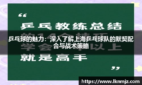 乒乓球的魅力：深入了解上海乒乓球队的默契配合与战术策略