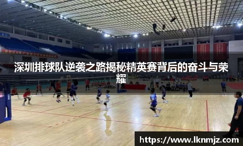 深圳排球队逆袭之路揭秘精英赛背后的奋斗与荣耀